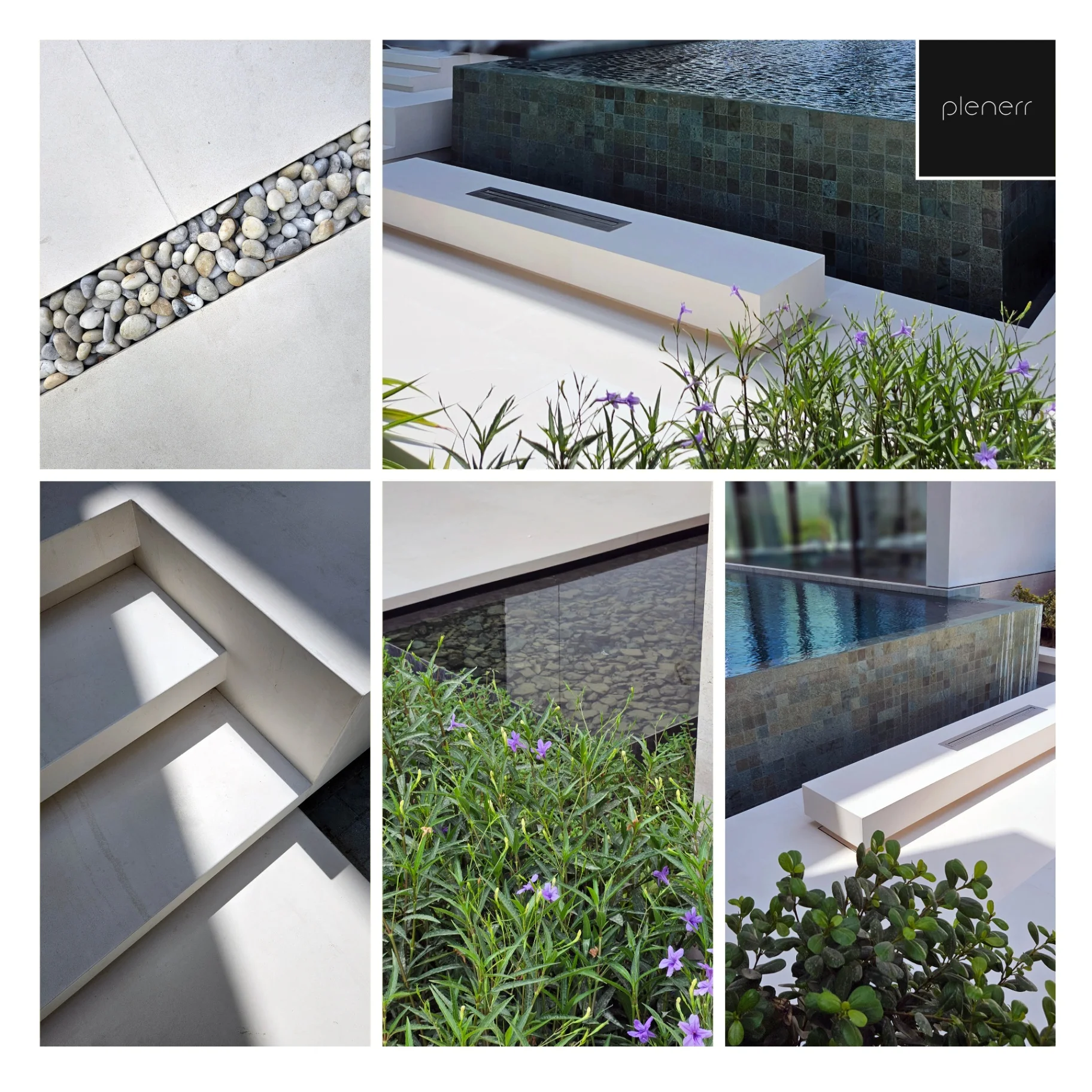 Guardianship photo 1