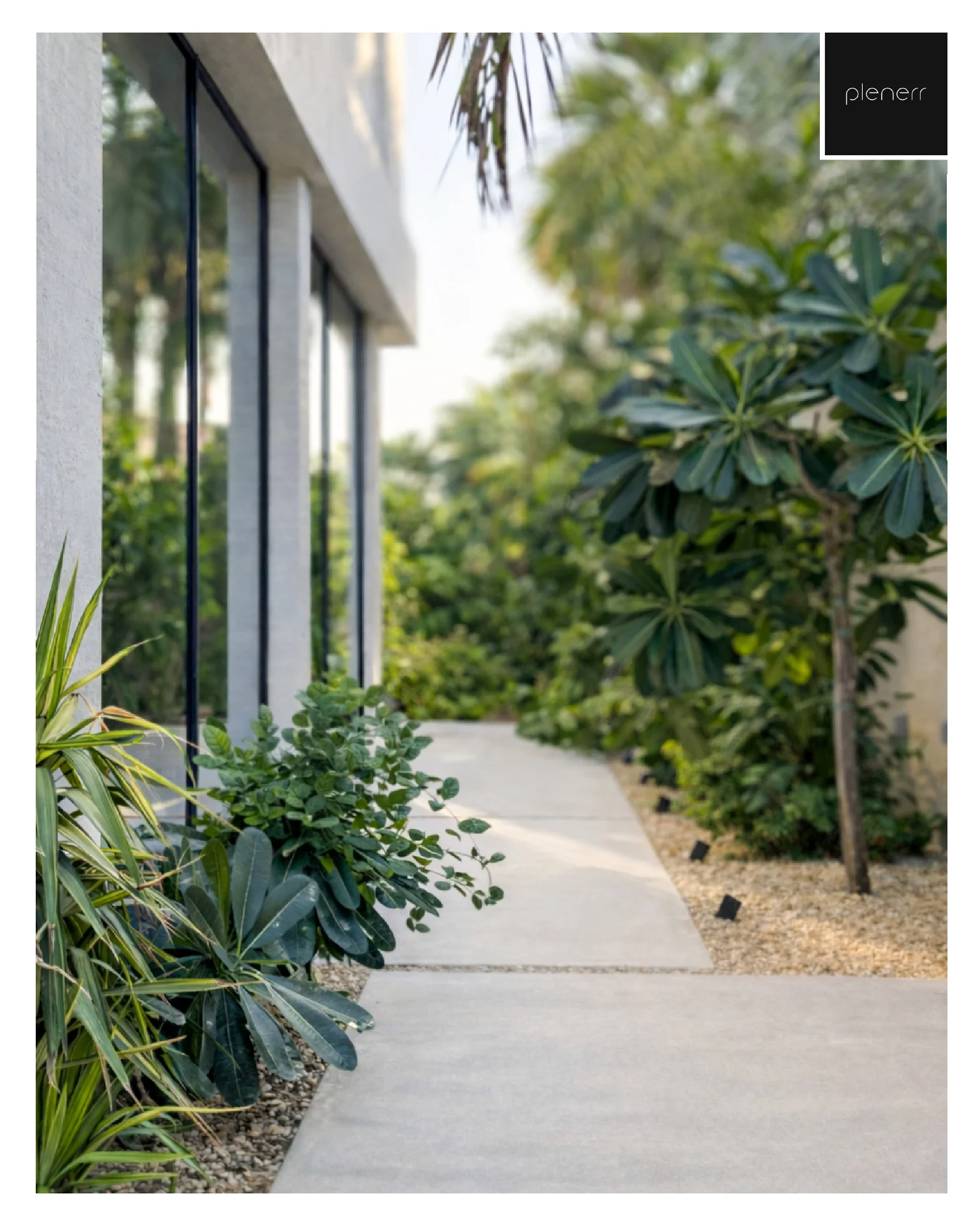 Guardianship photo 7