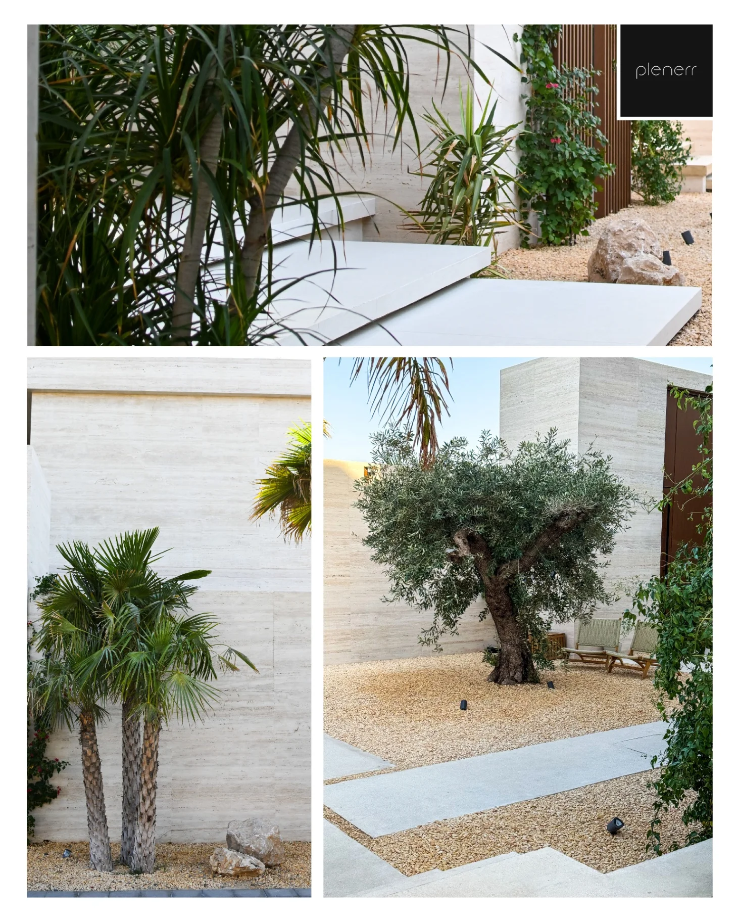 Guardianship photo 6